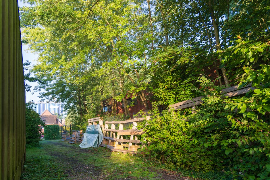 A narrow outdoor pathway runs alongside a wooden fence on the left and a dense green hedge on the right, with numerous trees and foliage overhead creating a shaded canopy. In the background, partial views of residential buildings with brick walls and tiled roofs are visible through the leaves. On the right side, leaning against the hedge, there's a collection of disorganized wooden pallets and planks, some partially covered with a white cloth or tarp, suggesting items awaiting disposal or collection. The pathway's surface consists of dirt and sparse grass, illuminated by natural daylight filtering through the trees, giving the scene a calm and slightly cluttered appearance that could be associated with garden or house clearance activities involving independent rubbish removal services. The environment is typical of a back garden or side yard area, adjacent to a residential property, with natural textures of wood, foliage, and ground visible and no signs of active rubbish collection at the moment.