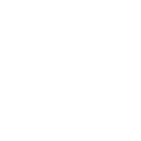 Rubbish collection Twickenham TW1